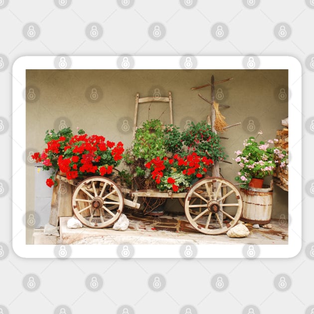 Red Geraniums on Antique Wooden Cart 1 Sticker by jojobob
